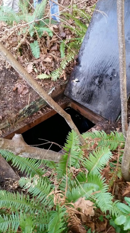 Shortly after 10 a.m. on Tuesday, March 10, a joint investigative team located an underground bunker allegedly used by a convicted bank robber.