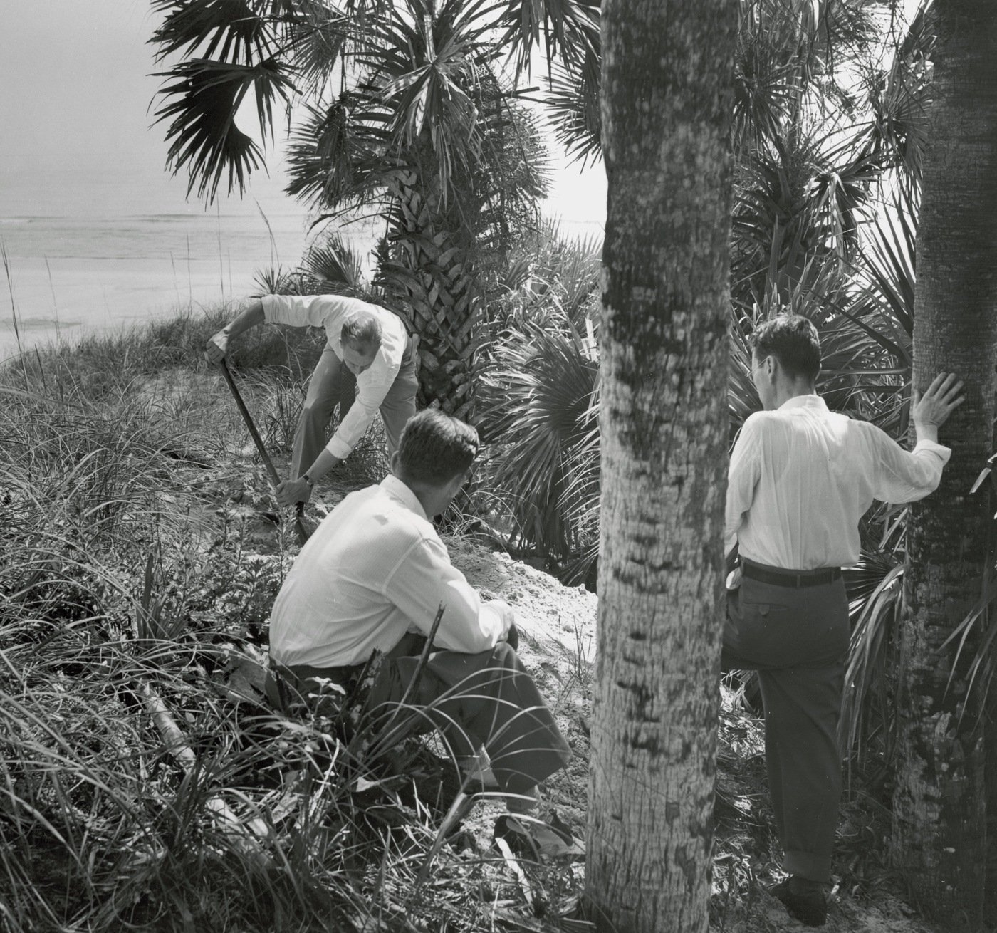 A special agent digs at spot in Ponte Vedra, Florida, where Nazi saboteur Kerling identified spot where his team had buried their sabotage equipment and uniforms in 1942. Kerling and another special agent look on.