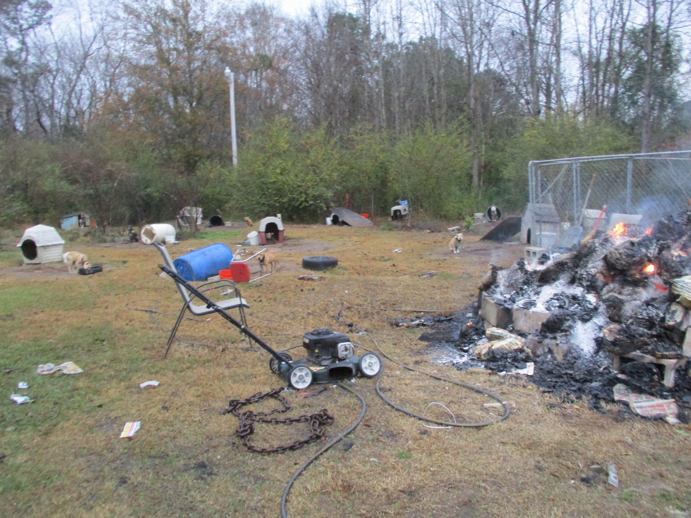 Asset Forfeiture: Yard With Dogs in South Carolina