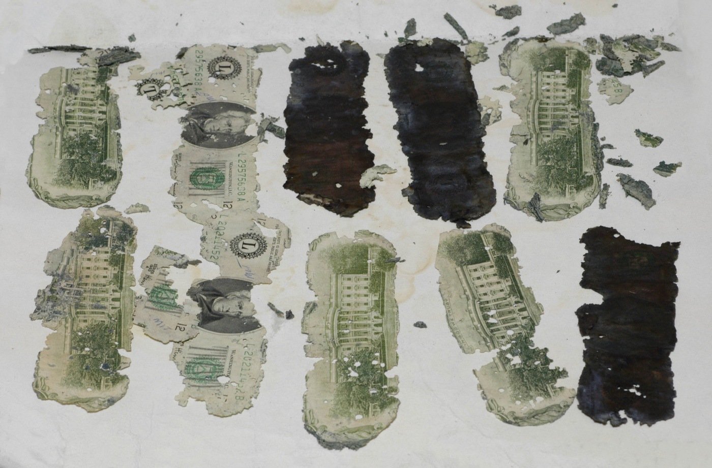Some of the stolen $20 bills found by a young boy in 1980.
