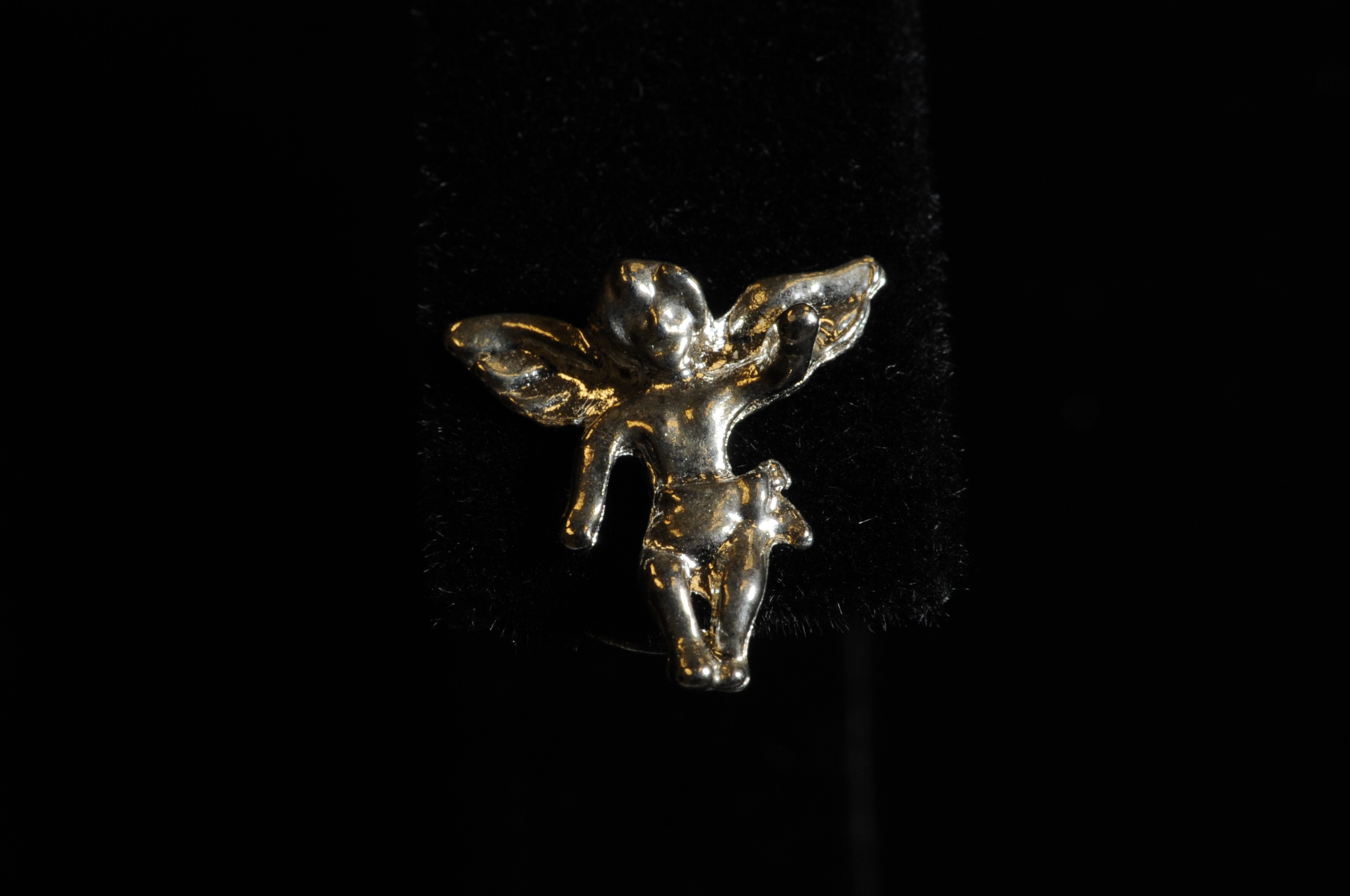 Jewelry from David Parker Ray Investigation (Photo 14)