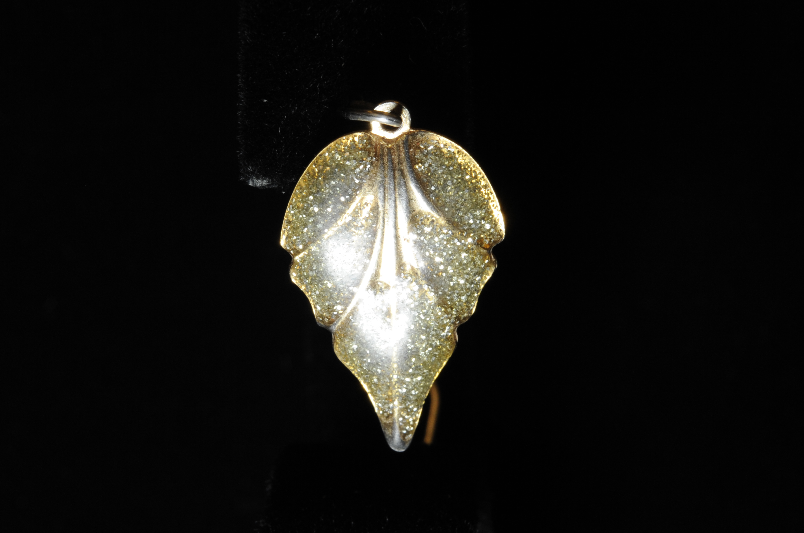 Jewelry from David Parker Ray Investigation (Photo 17)