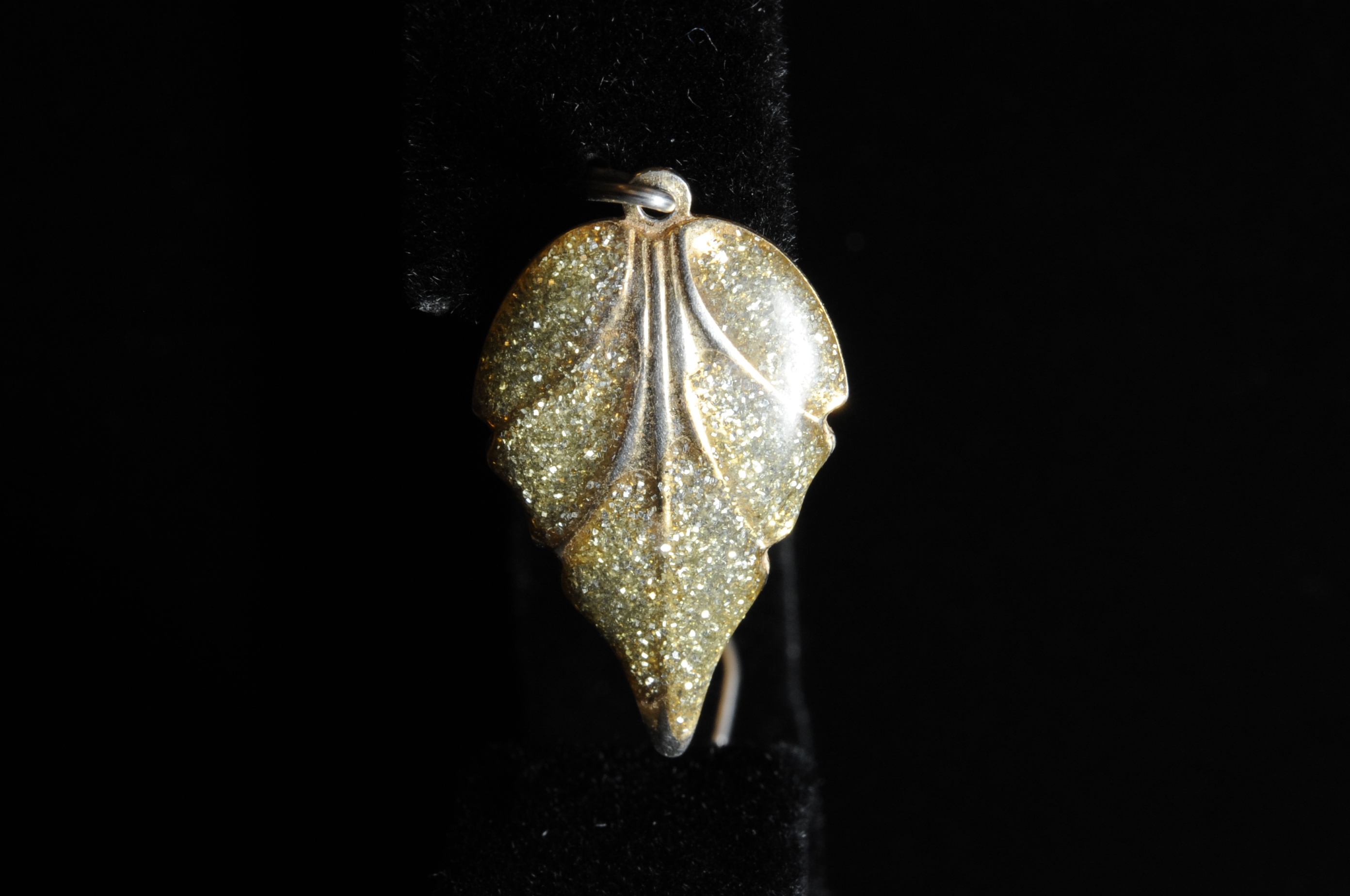 Jewelry from David Parker Ray Investigation (Photo 18)
