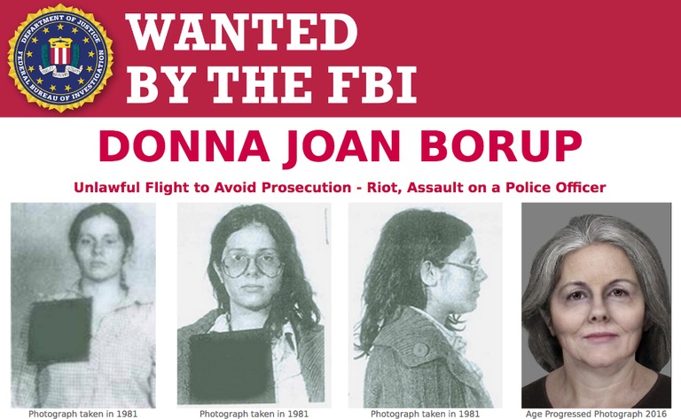 Screenshot of top portion of Wanted by the FBI poster for Donna Joan Borup