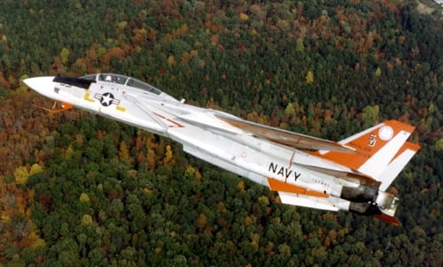 An F-14 aircraft used by the U.S. Navy. Image from the NASA website. 