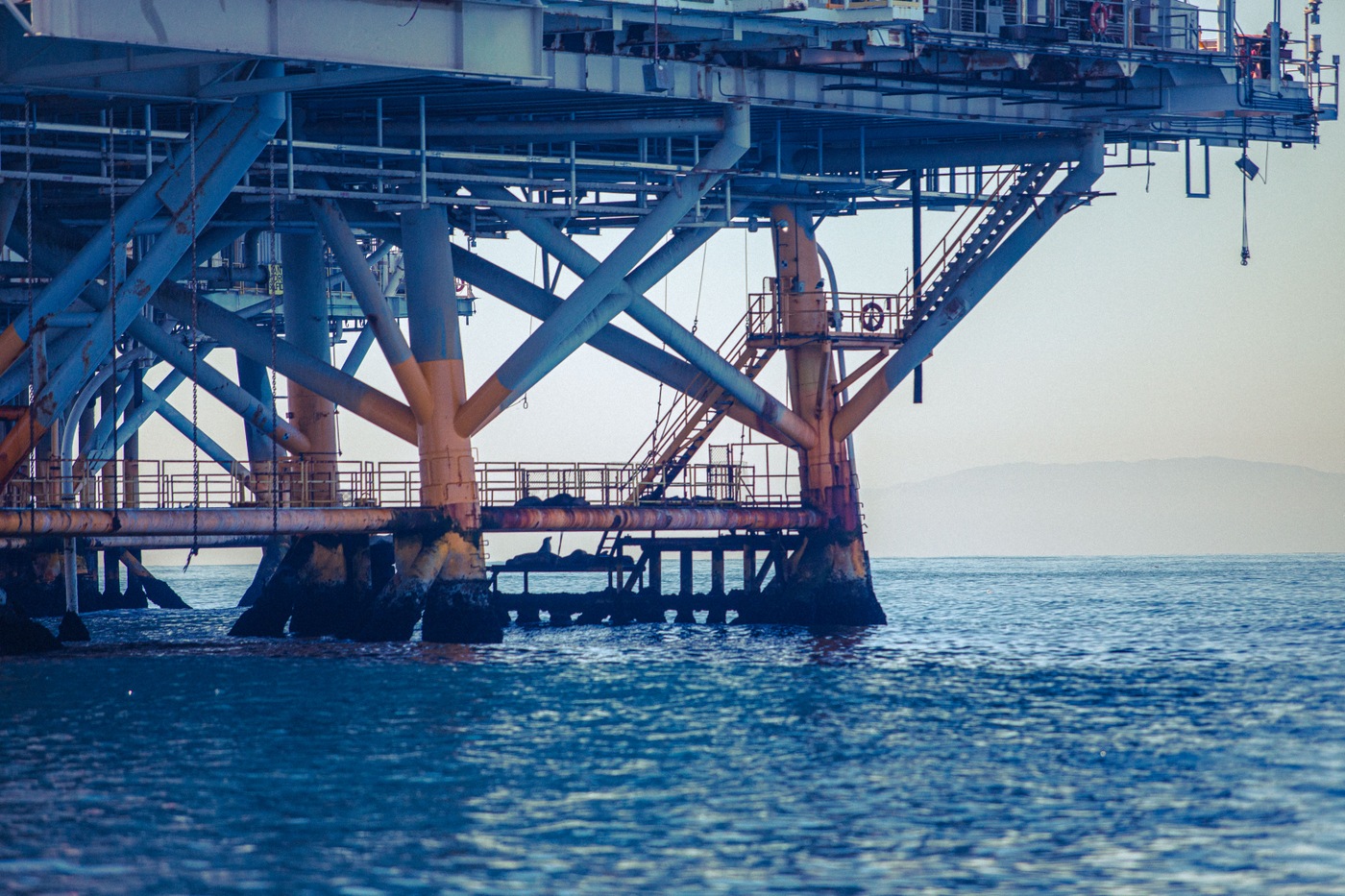 A closeup shot of the base of the oil rig platform, Elly. Seals can be seen congregating on the lower levels.