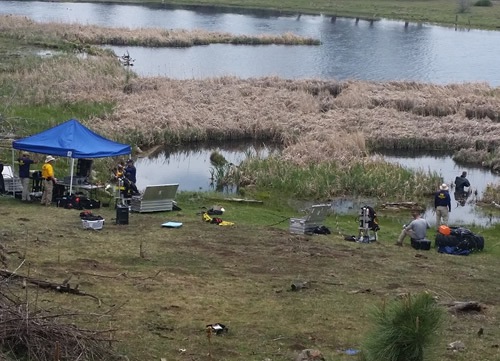 In May 2016, FBI Phoenix, along with the FBI LA USERT (Underwater Search and Evidence Response Team, aka Dive Team), searched in and around a pond in McNary, Arizona (south of Pinetop) in connection with the murder of 16-year-old Katherine Irene Tortice.