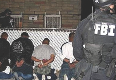 SWAT Team Arresting Gang Members