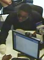 Bandaged Bandit, Photo 2 of 3 (8/2/15)