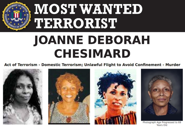 Screenshot of top portion of Most Wanted Terrorist poster for Joanne Deborah Chesimard