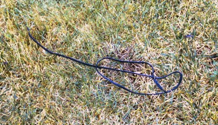 Shoelace as Evidence in the East Area Rapist Case Shoelace as Evidence in the East Area Rapist Case