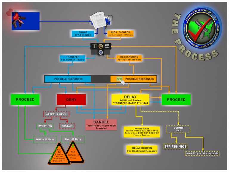 NICS Flow Chart Graphic