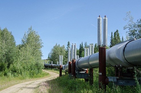 A stretch of the 800-mile Trans-Alaska Pipeline. In 2001, a resident of Livengood, Alaskaaa town of less than two dozen people about 50 miles north of Fairbanksashot a hole in the pipeline with a high-powered rifle.