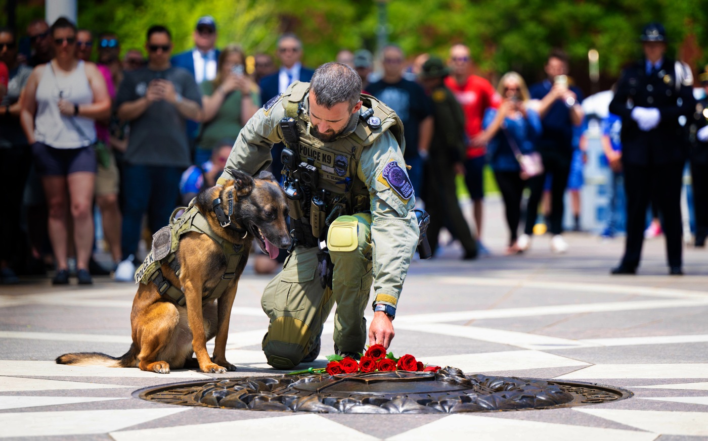 Laying a Rose at the National Police K9 Memorial Service on May 13 in Washington, D.C.