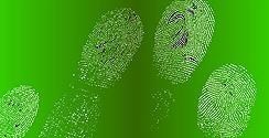 Scanned Fingerprints