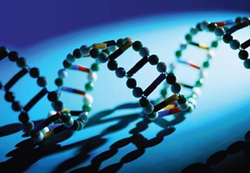 DNA Strand Illustration