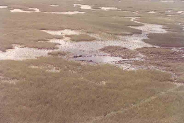 Crater in the Everglades created by the May 11, 1996 crash of ValuJet Flight 592. FAA photo