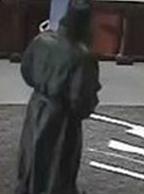 One of two serial bank robbers who hit seven banks in Northern Virginia and Anne Arundel County and Charles County, Maryland between January 2, 2015 and February 18, 2015.