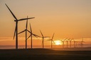 Texas Man Sentenced for Wind Farm Investment Scam