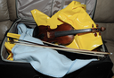 The Case of the Stolen Stradivarius