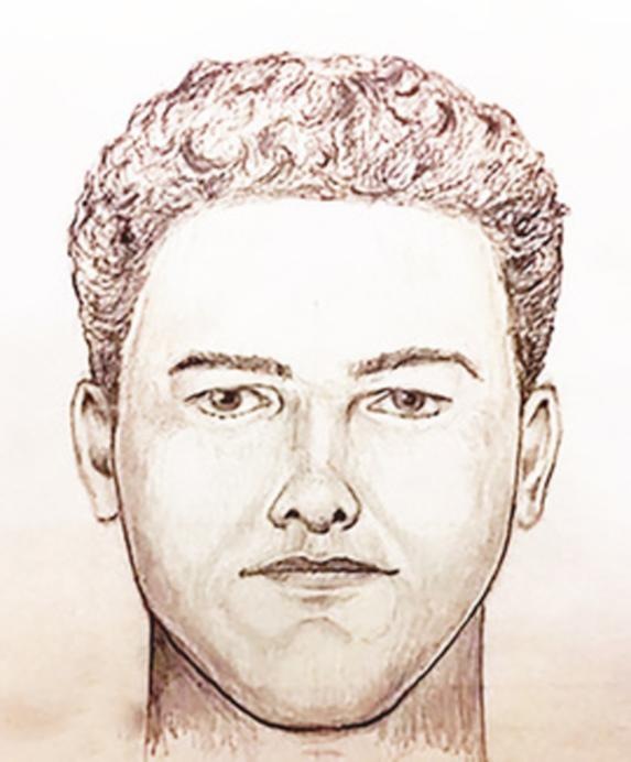 Updated Delphi Composite sketch of suspect.jpg