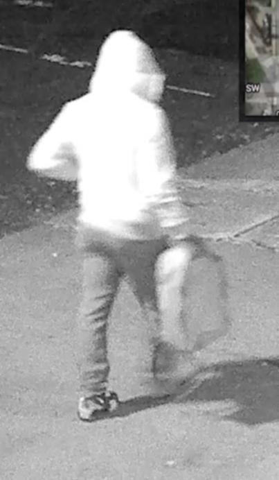 Person of interest carrying backpack used to transport each device (color may appear lighter than actual)