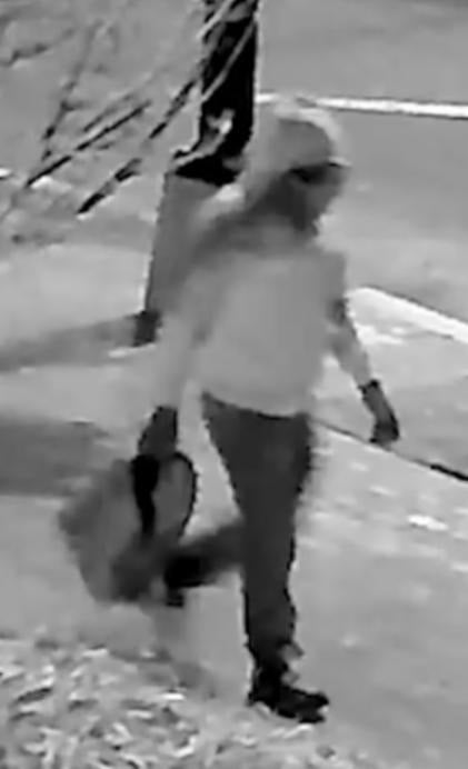 Person of interest carrying backpack used to transport each device