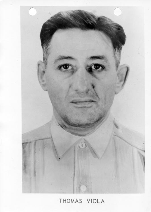 146. Thomas Viola 146. Thomas Viola