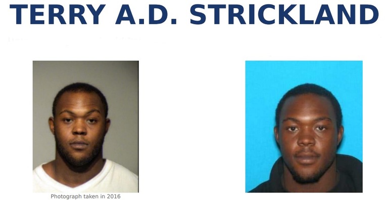 512. Terry A.D. Strickland 512. Terry A.D. Strickland