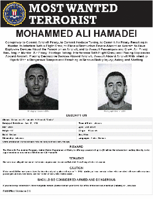 MOHAMMED ALI HAMADEI - FBI